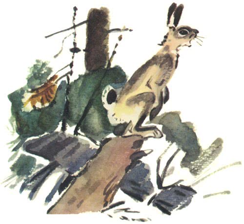 Сказка про храброго Зайца — длинные уши, косые глаза, короткий хвост (Мамин-Сибиряк) — Викитека