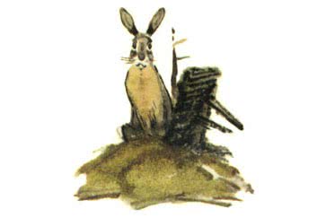 Сказка Про храброго Зайца-длинные уши, косые глаза, короткий хвост - аудио