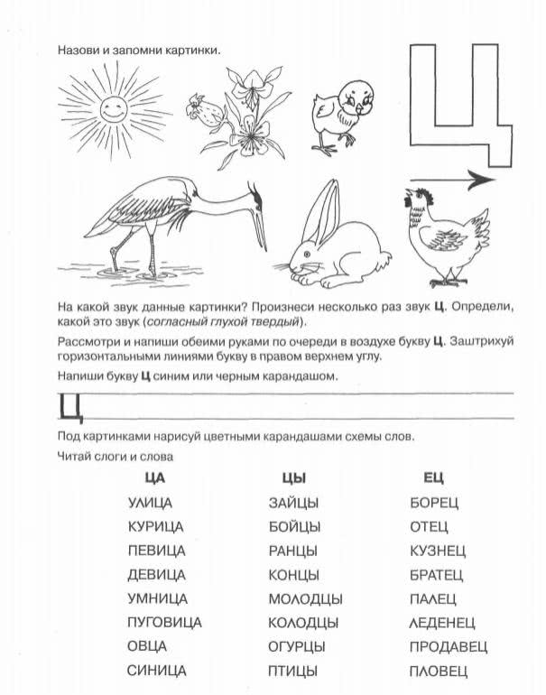 Звук и буква ц задания для дошкольников презентация