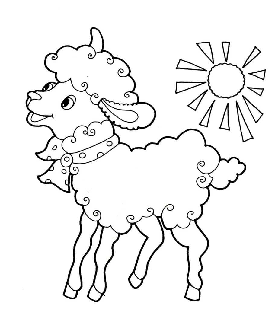 Веселая овечка и солнышко