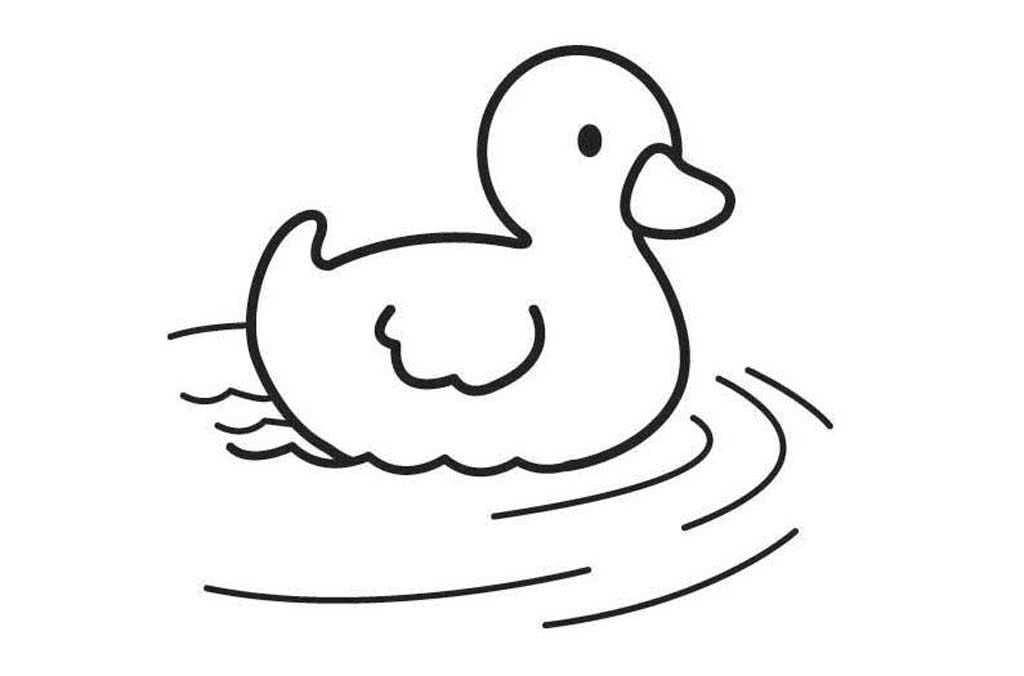 Утка плавает в пруду
