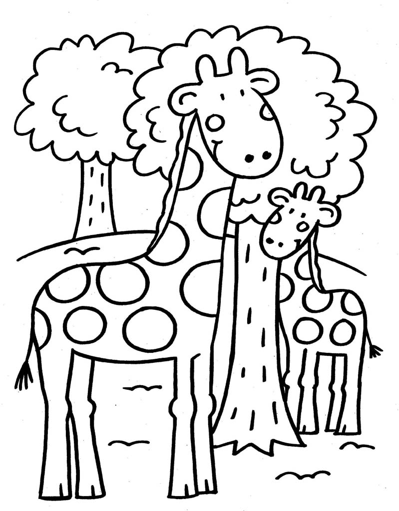 Жирафы на прогулке
