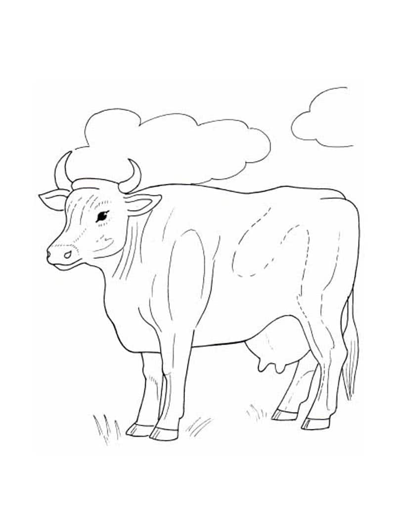 Корова и облака