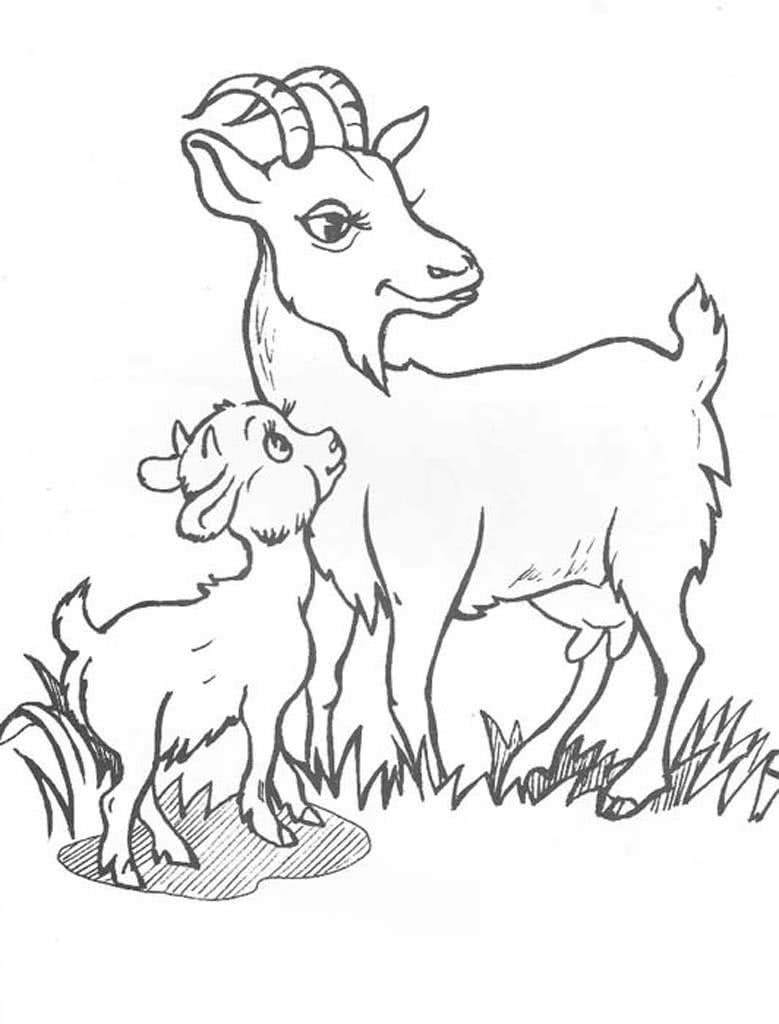Коза и козленок на лужайке