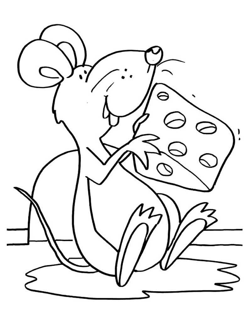Мышонок держит в лапках сыр