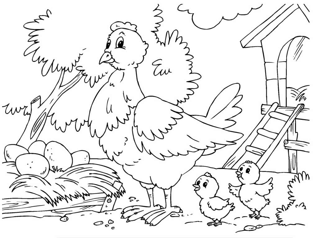 Курица с цыплятами и яйца