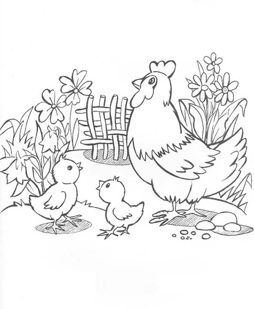 Курица с цыплятами в загоне