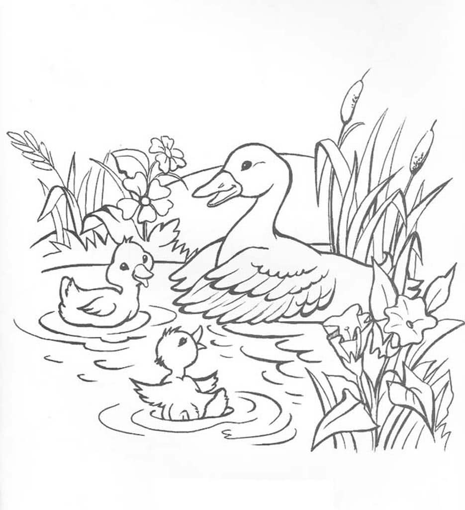 Утка и утята купаются в пруду