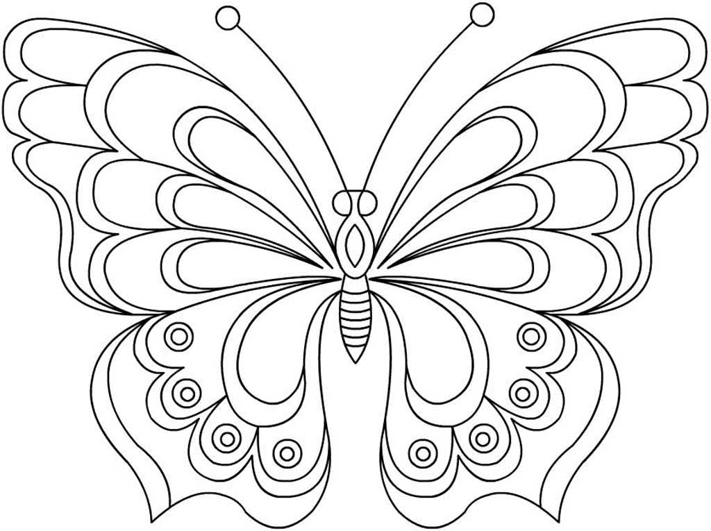 Красивая большая бабочка