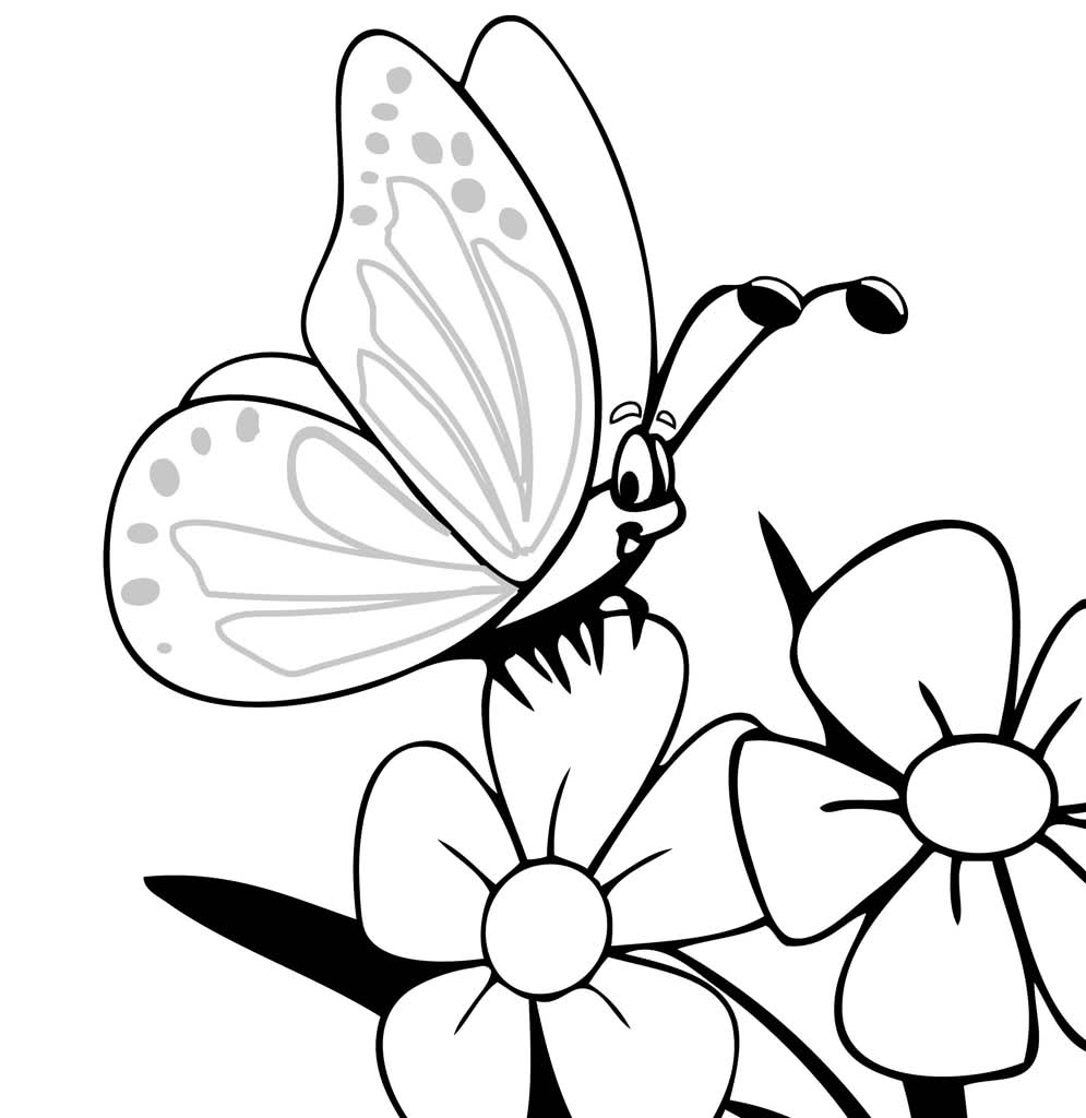 Смешная бабочка сидит на цветке