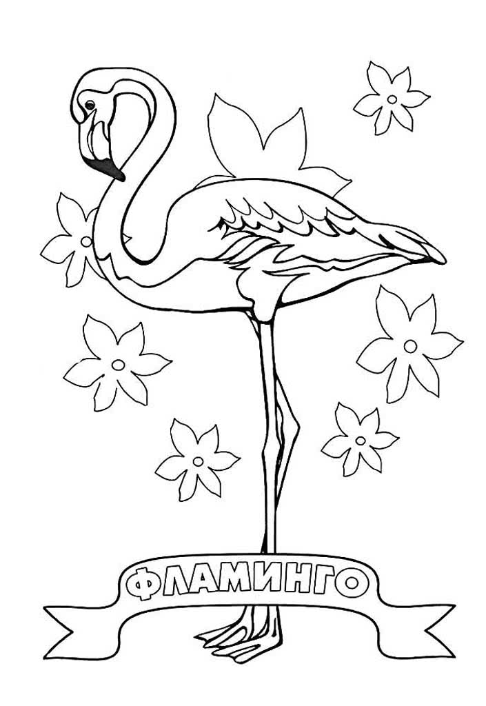 Фламинго с цветами