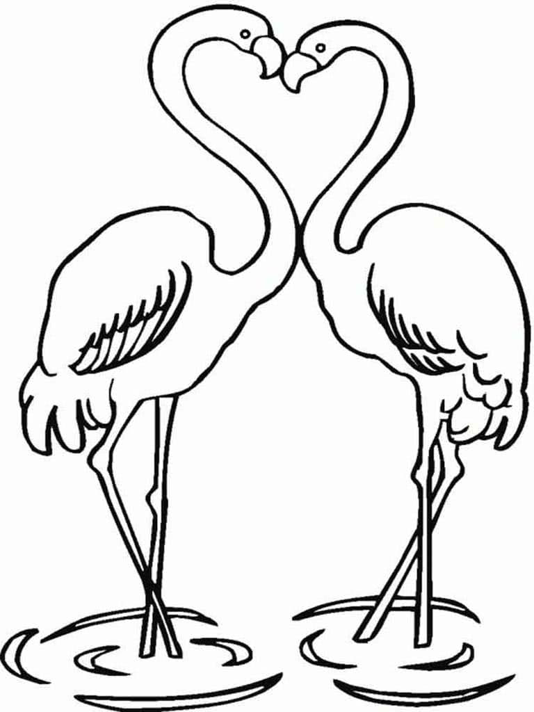 Два фламинго в форме сердечка