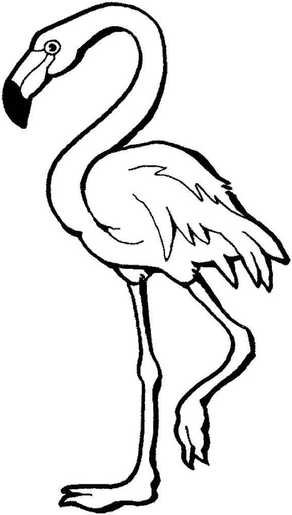 Фламинго с поднятой лапой