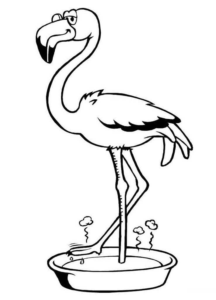 Фламинго в тазике греет ноги