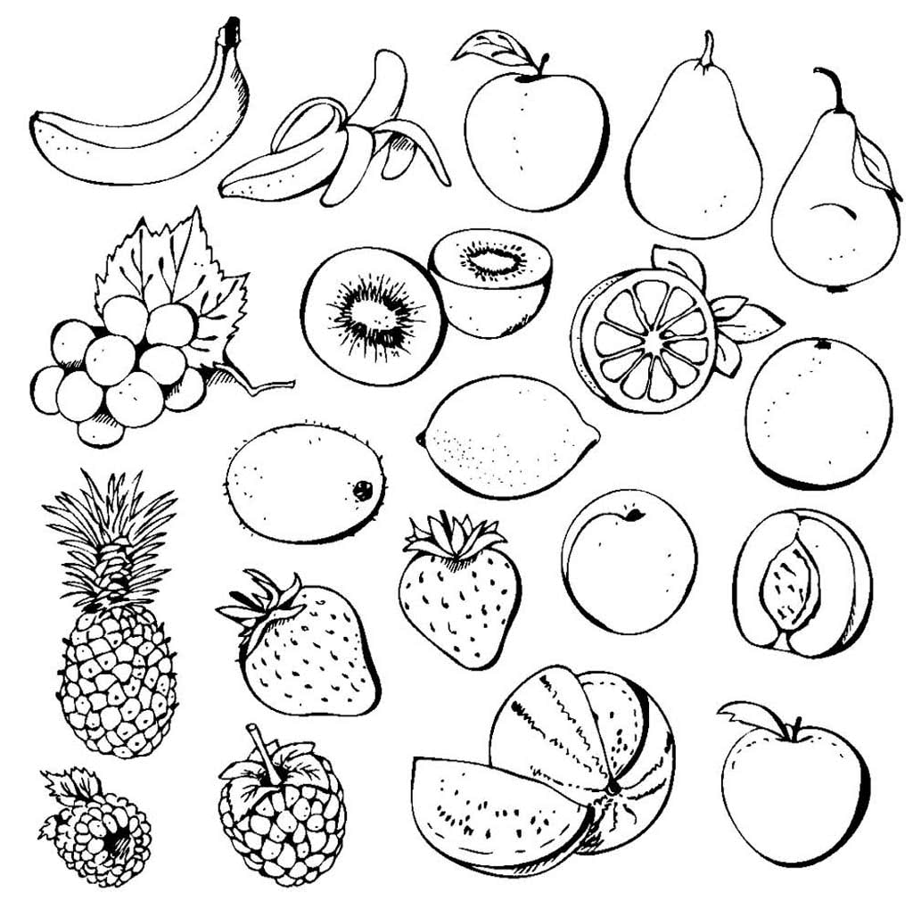 Виды фруктов и ягод