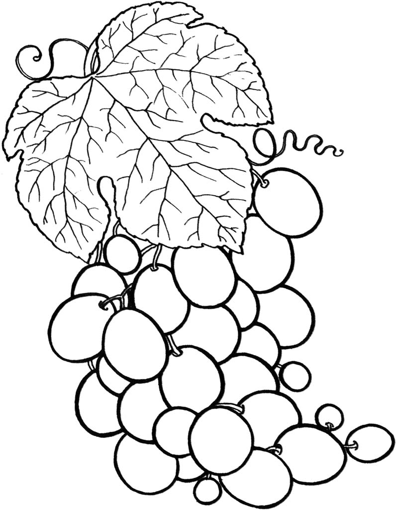 Виноград с листвой