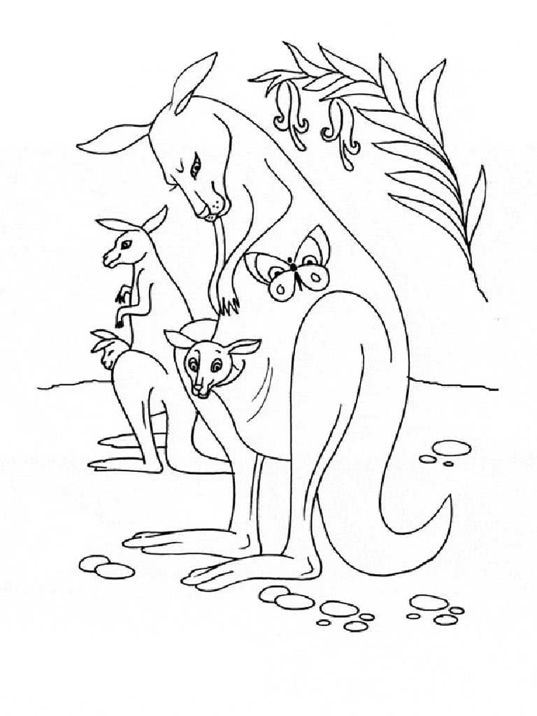 Животные кенгуру с детенышами