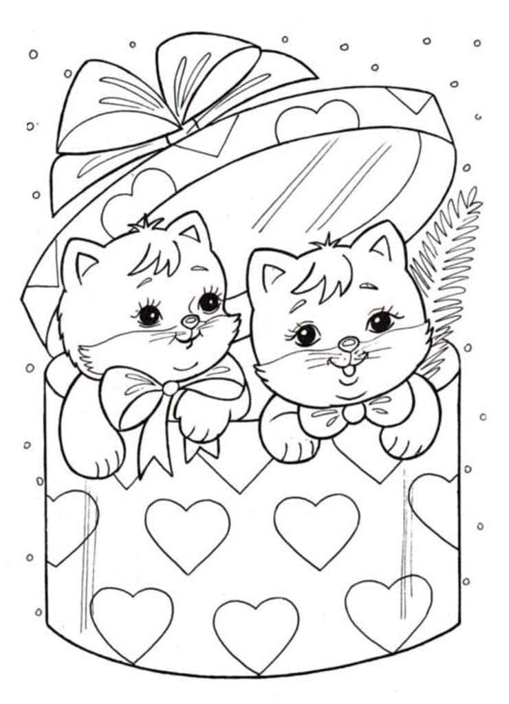 Два милых котенка в подарочной коробке