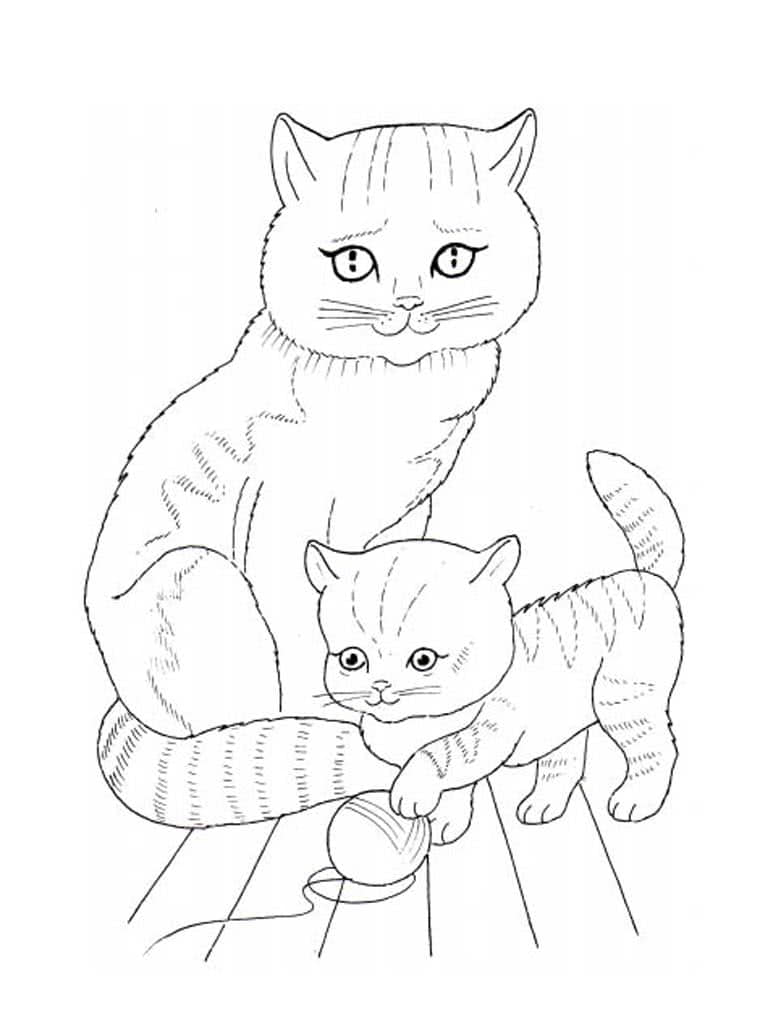 Грустная кошка и полосатый котенок