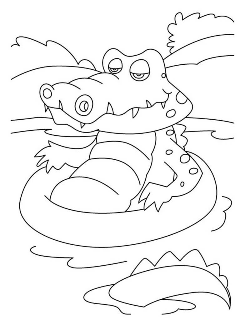 Крокодил плавает в спасательном круге