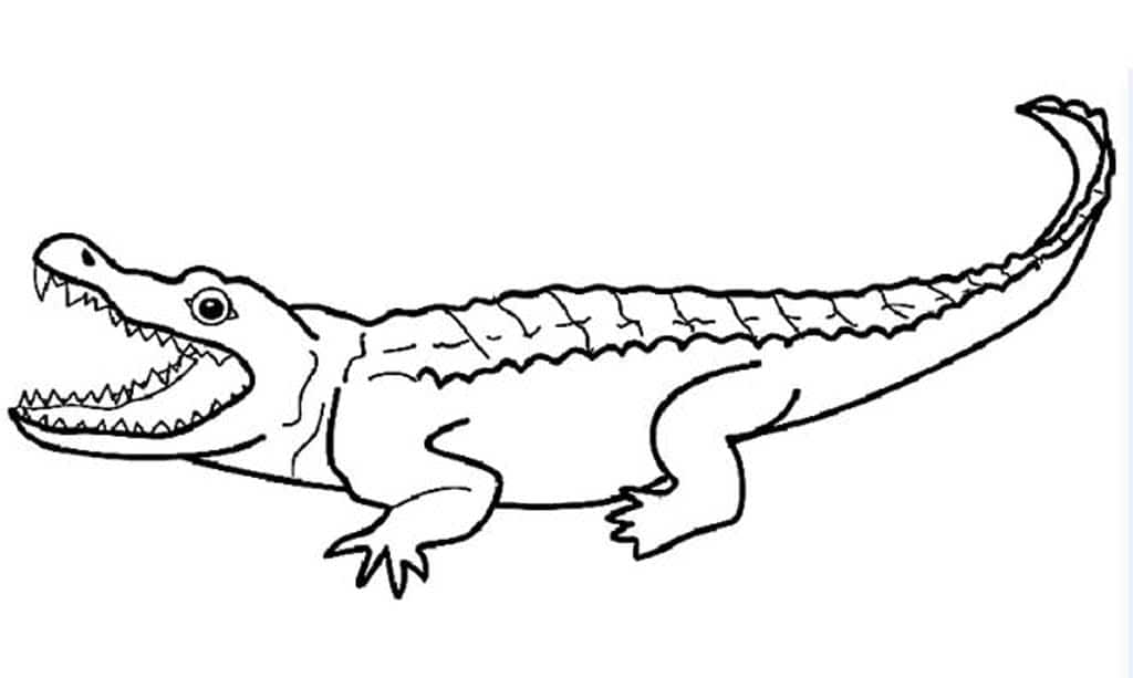 Крокодил с открытой пастью