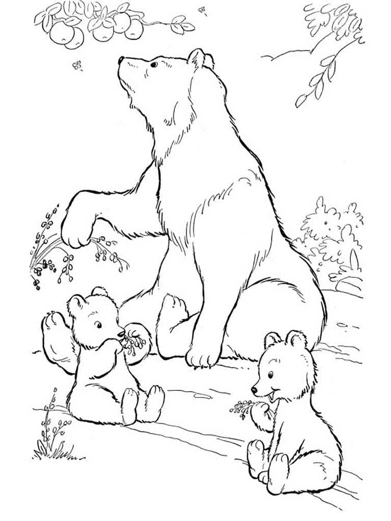 Медведица и два медвежонка