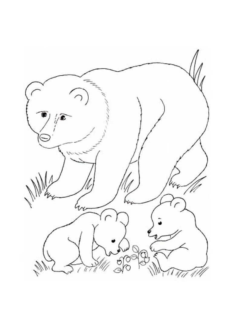 Медведица с медвежатами на лужайке
