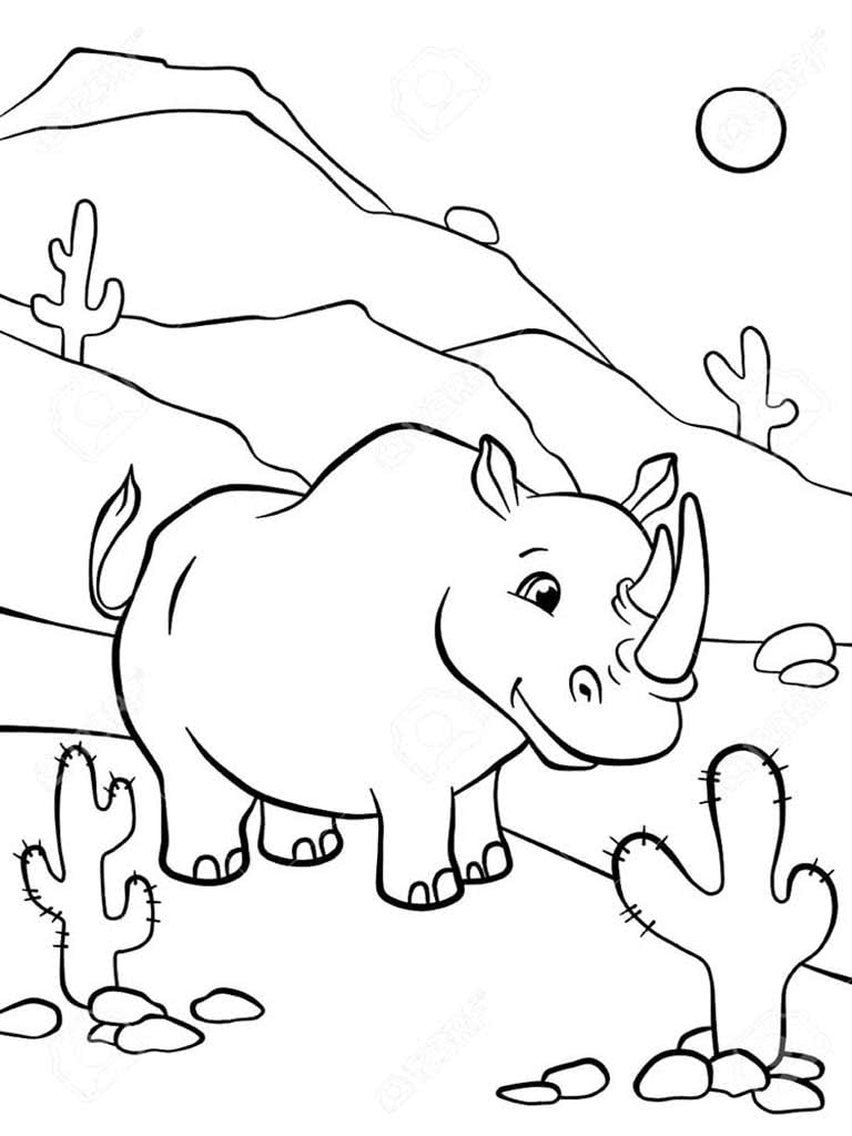 Носорог и кактусы