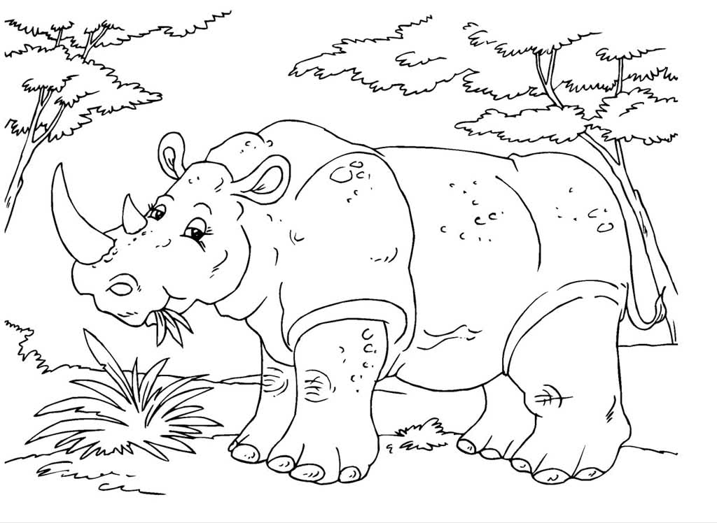 Носорог жует травку