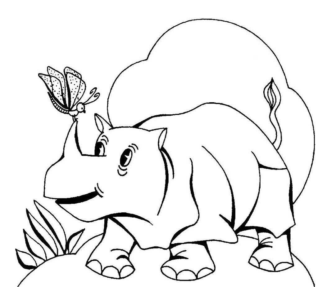 Носорог с бабочкой на носу