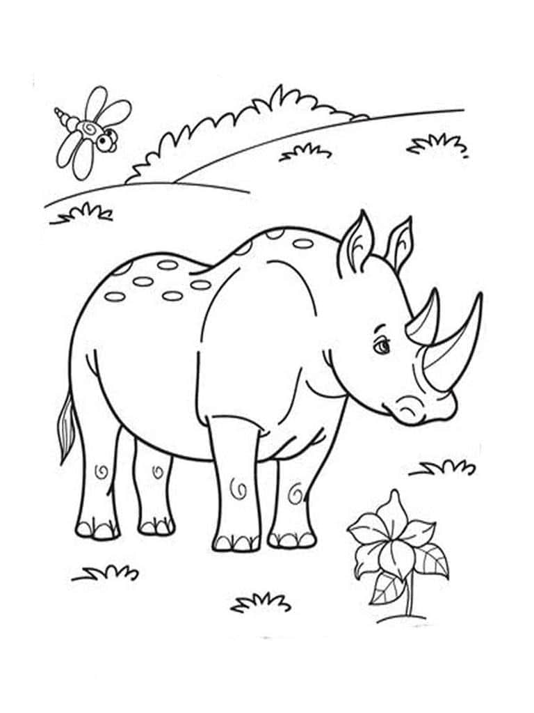 Носорог и стрекоза