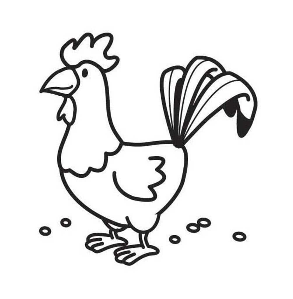 Курица и петух раскраска - 63 фото