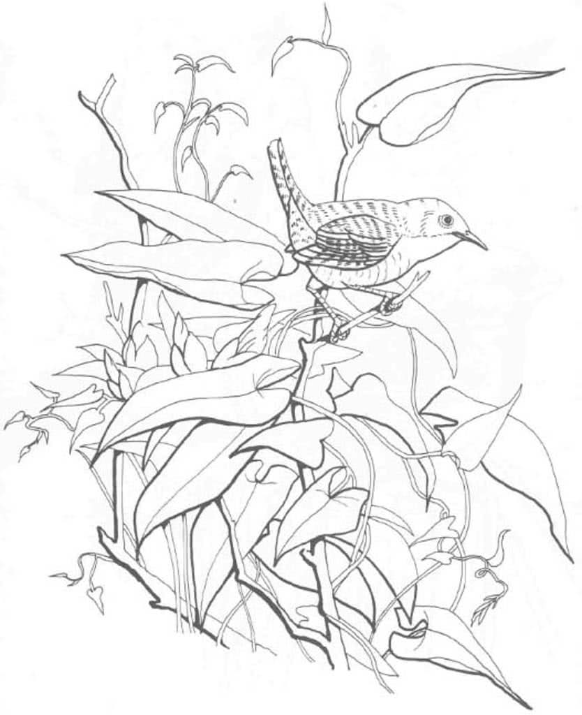 Птичка на ветке с листьями