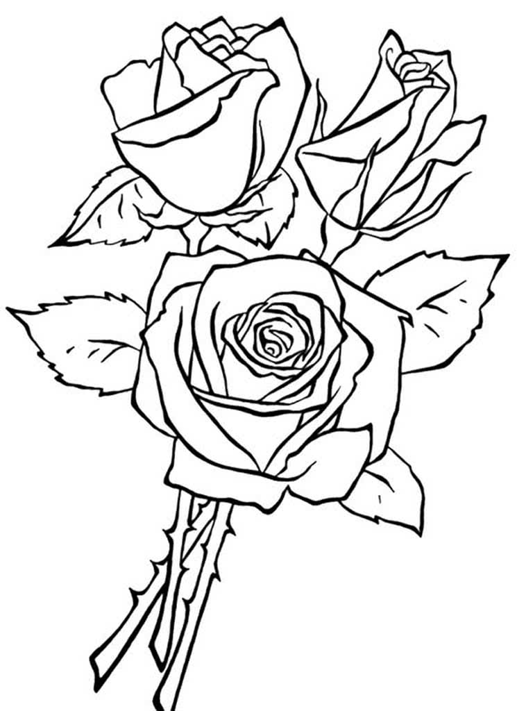 Букет из трех роз