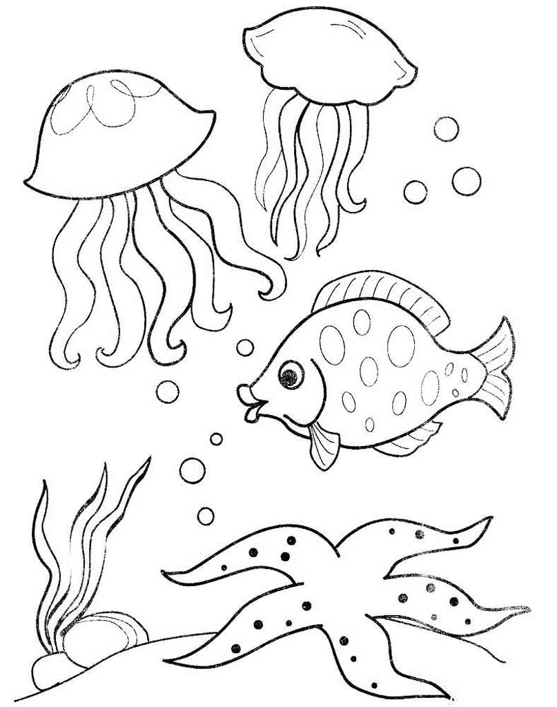 Две медузы морская звезда и рыбка