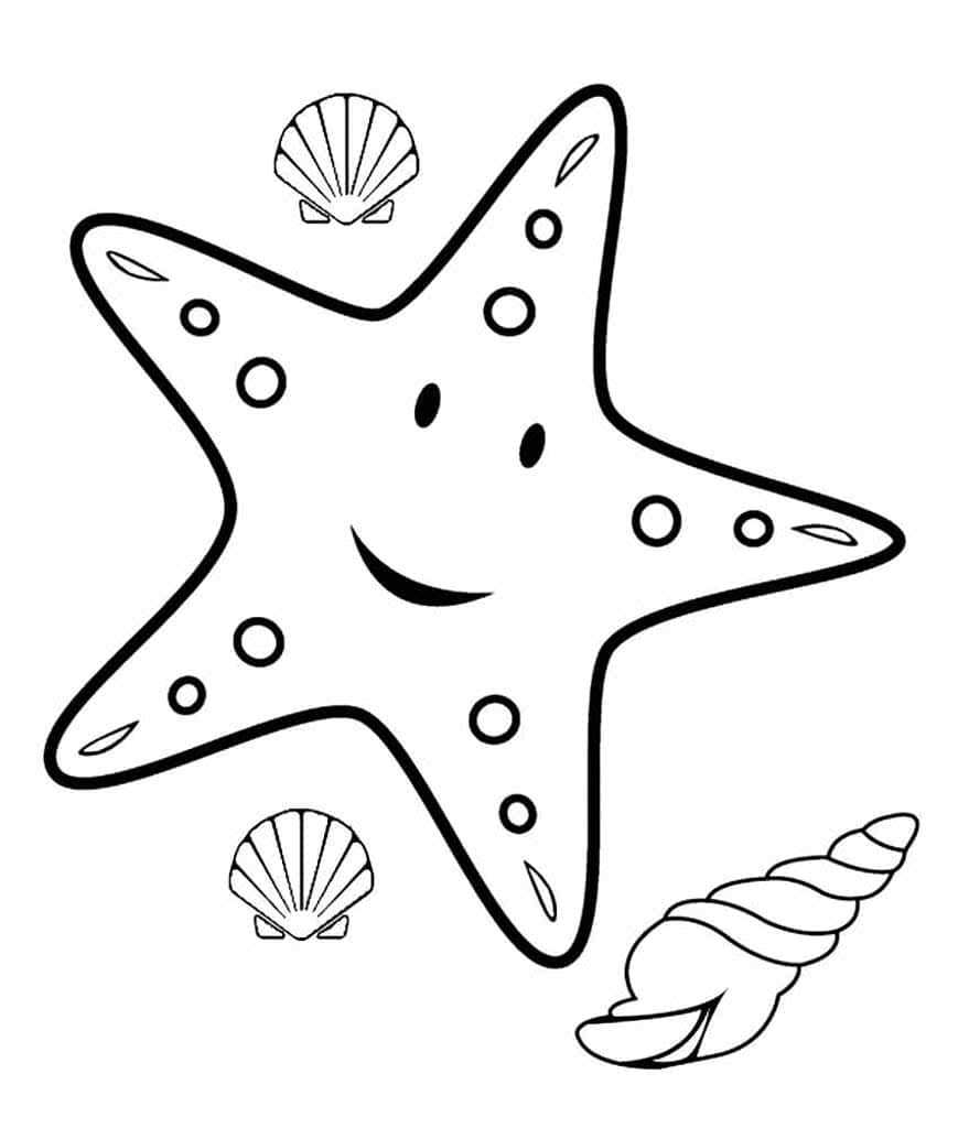 Морская звезда с ракушками