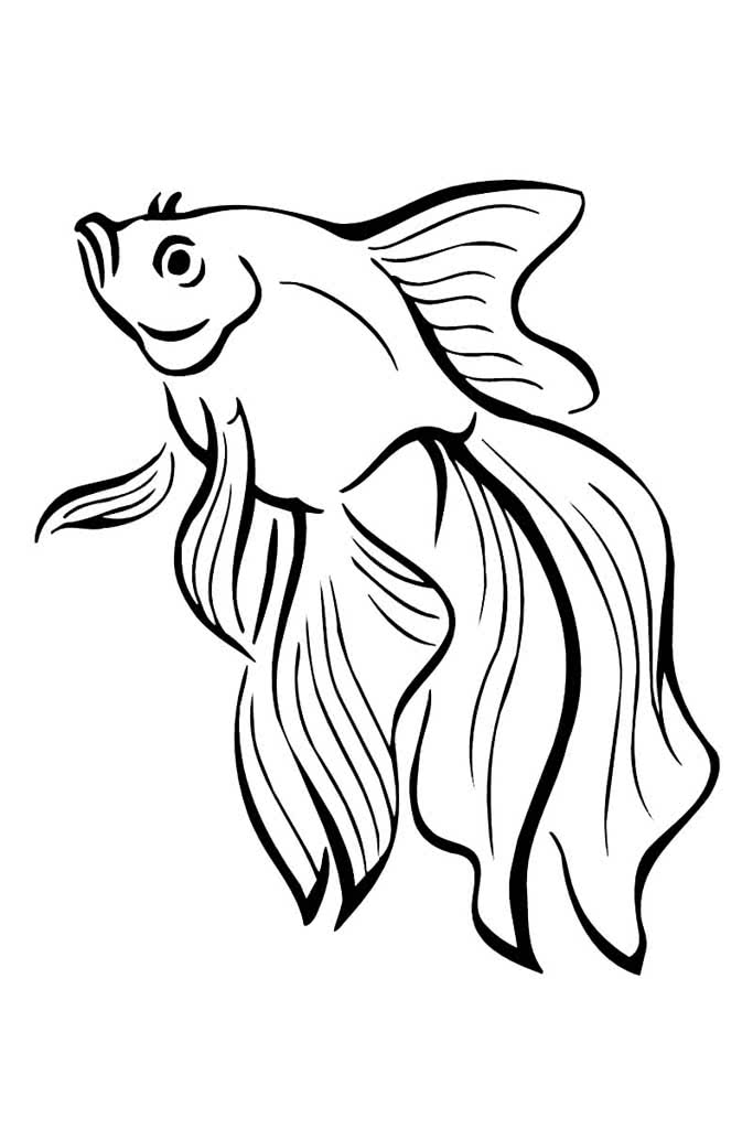 Красивая золотая рыбка с длинным хвостом