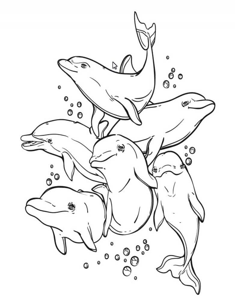 Стая дельфинов