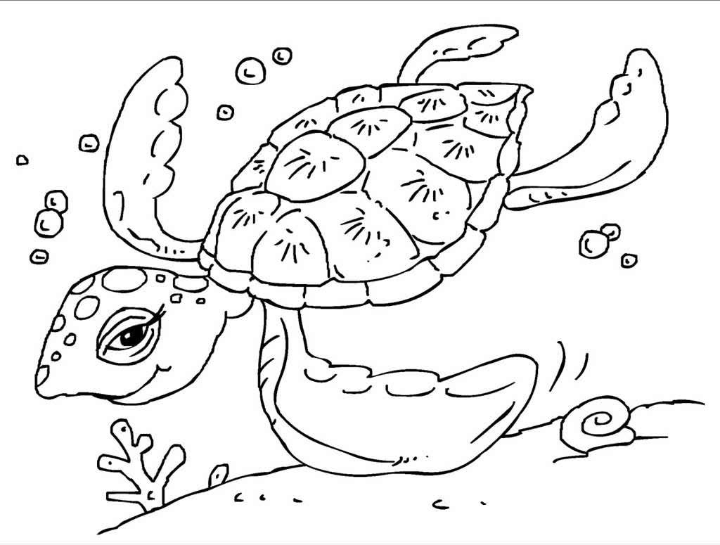 Черепаха плавает на морском дне