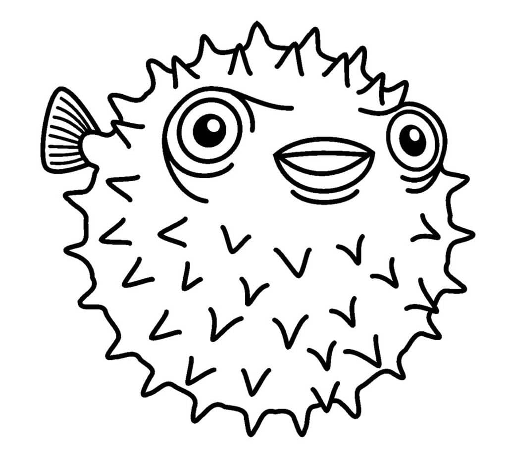 Колючая рыбка еж