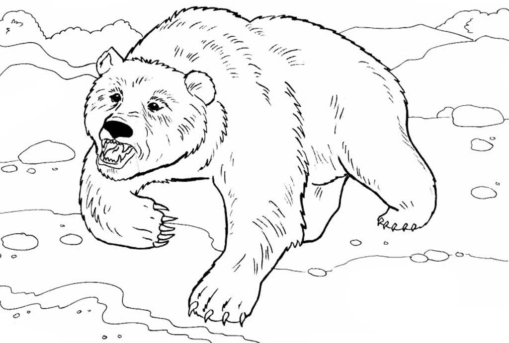 Рассерженный полярный медведь
