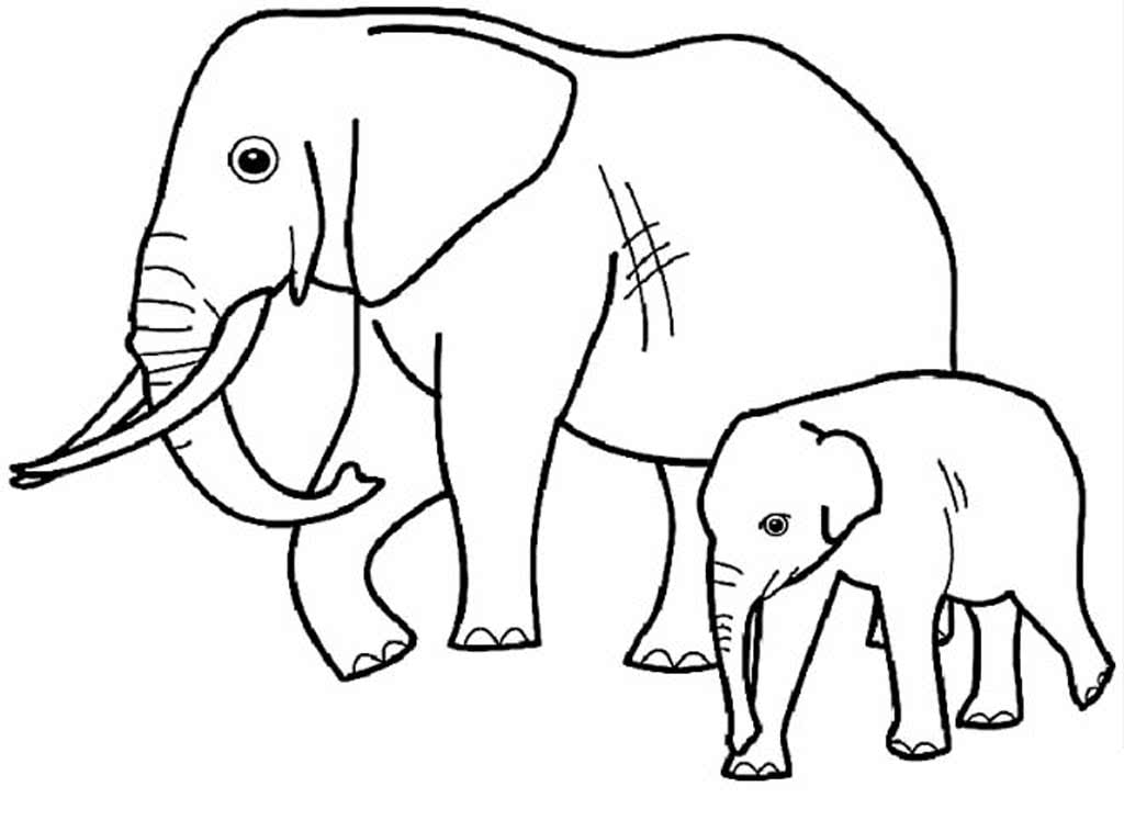 Большой слон и маленький слоненок