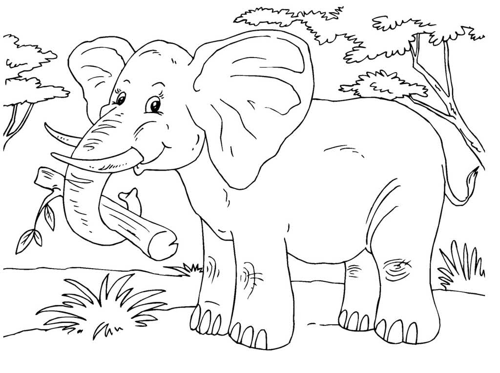 Слон с веткой дерева в хоботе