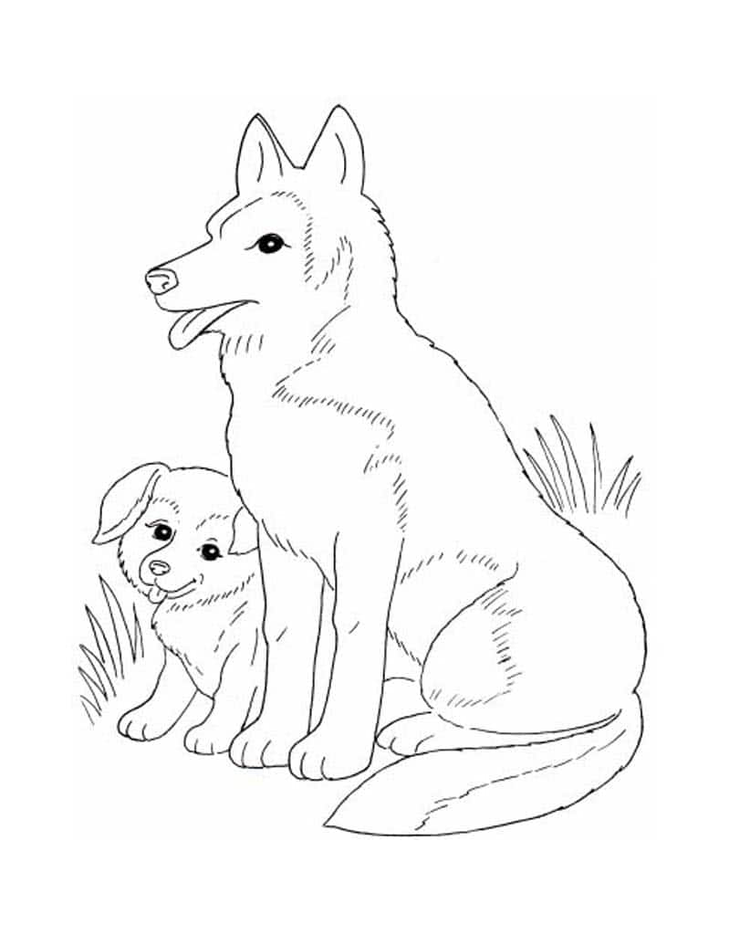 Собака и щенок