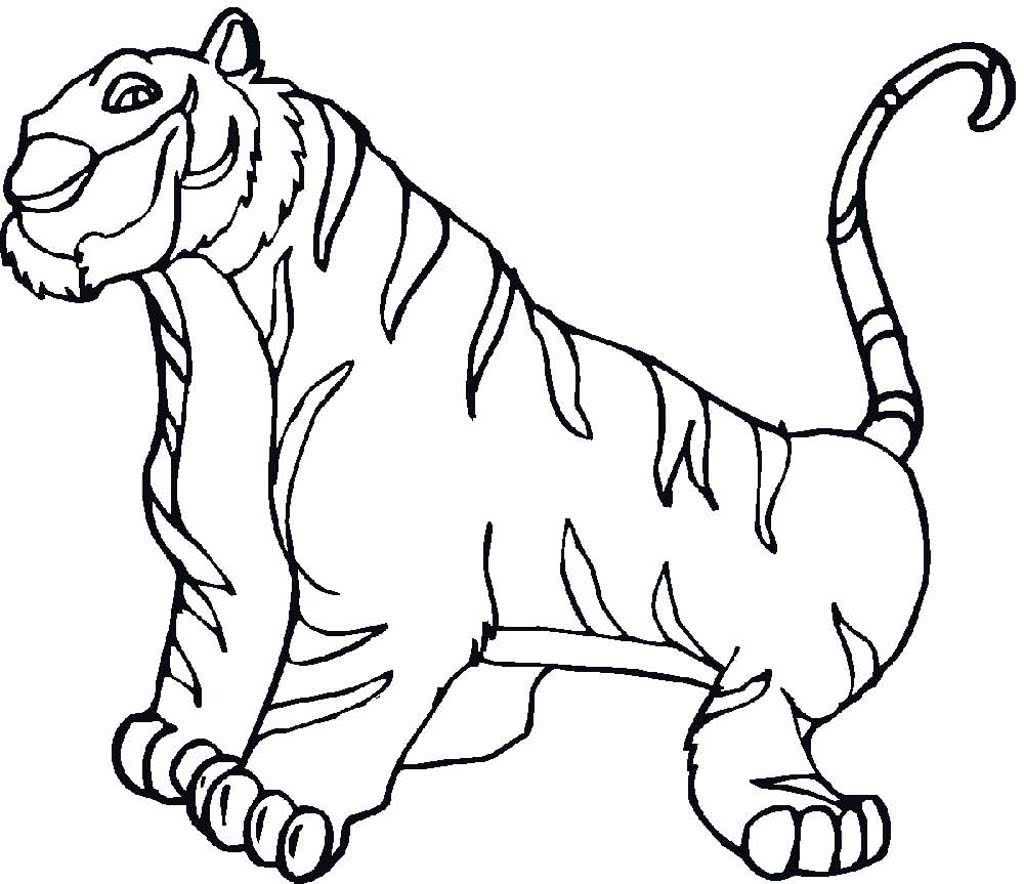 Тигр Раджа