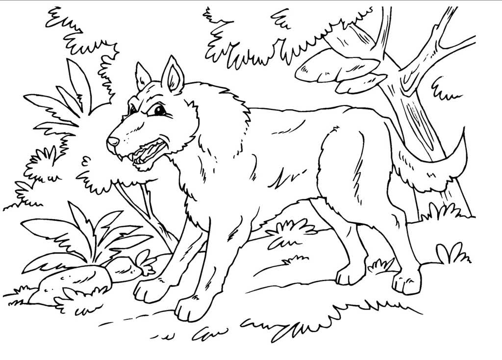 Злой волк в лесу