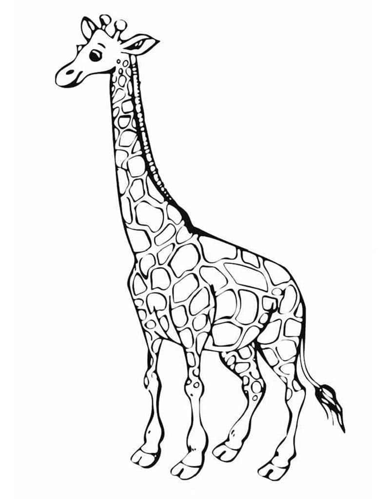 Жираф с длинной шеей