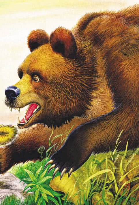 Кузяр-бурундук и Инойка-медведь