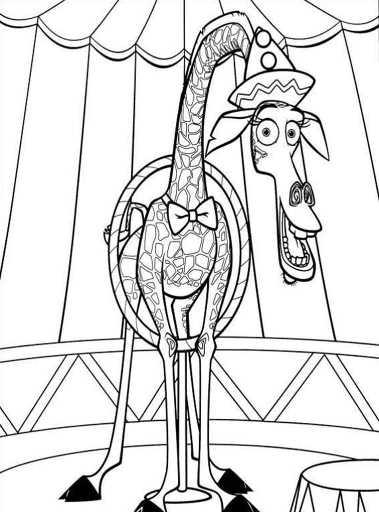 Жираф Мелман в цирке