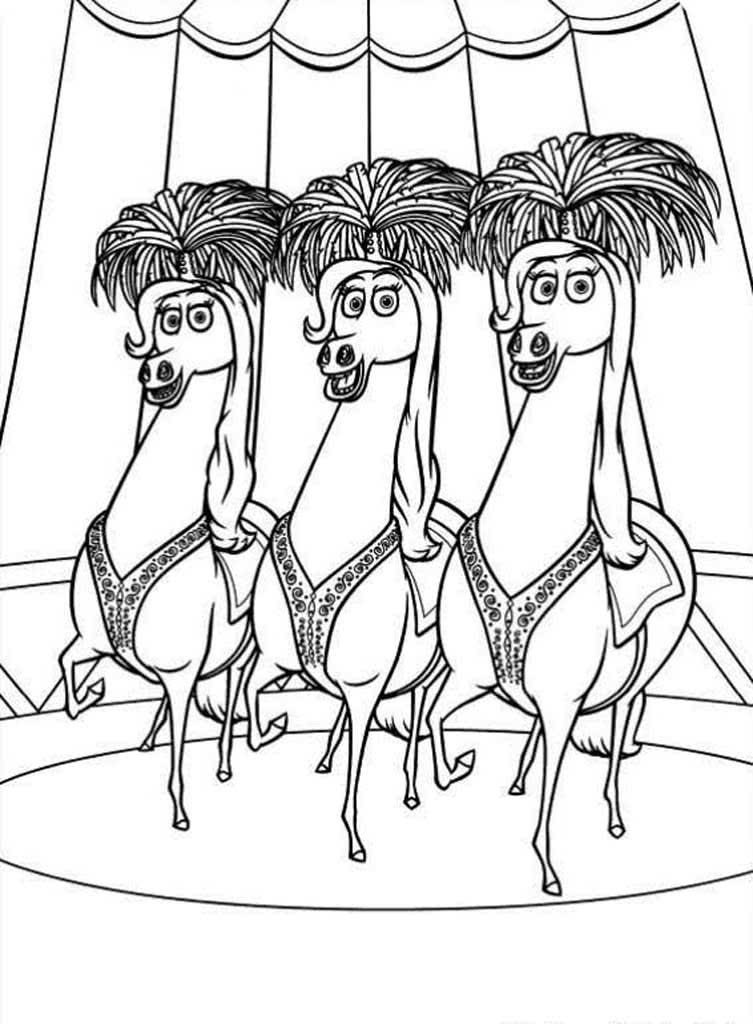 Три лошади в цирке